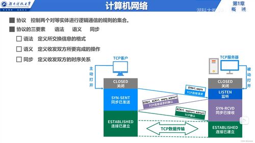 計(jì)算機(jī)網(wǎng)絡(luò)基礎(chǔ)知識(shí)概述