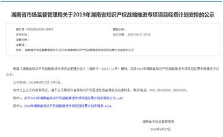 省知識產權戰略實施專項項目花落祁陽職中，助推知識產權服務升級